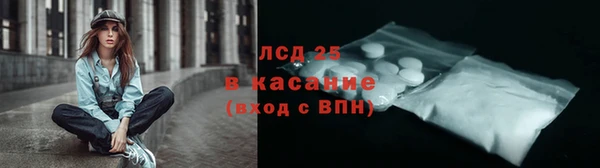 твердый Арсеньев