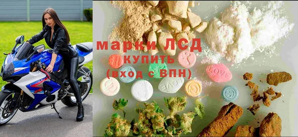 твердый Арсеньев