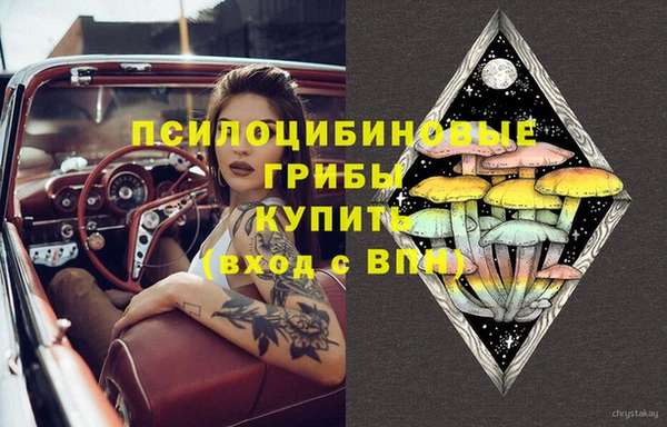 твердый Арсеньев