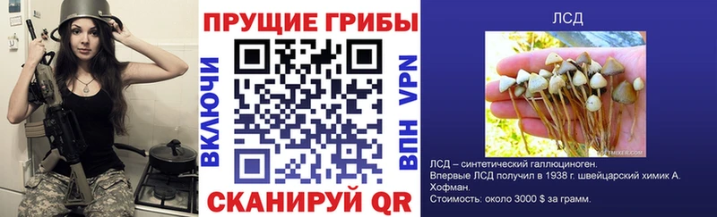 Галлюциногенные грибы Magic Shrooms  KRAKEN ССЫЛКА  Лобня 